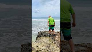 Looking for sea creatures in the tide pools in St Croix USVI tidepools stcroix usvirginislands [upl. by Eednil]