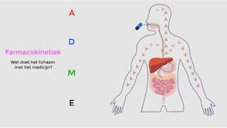 Wat doet het lichaam met een geneesmiddel Farmacokinetiek [upl. by Eigram584]