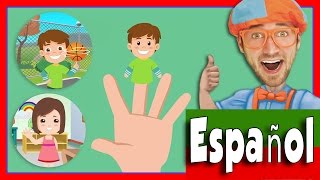 Canción de la Familia Dedo  Canciones para niños Blippi Español [upl. by Elery159]