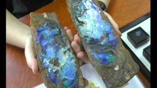 Opal Presentation in GERMAN [upl. by Aratal]