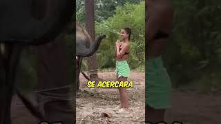 El elefante le dio una lección 😬🐘 andreevasd vía IG [upl. by Atilek91]