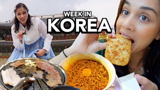 a week in korea vlog [upl. by Tanitansy258]