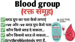 Blood group रक्त समूह  Rh  factor  Erythroblastosis  ve amp ve blood group [upl. by Gardie]