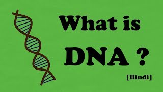 What is DNA  Hindi [upl. by Vail]