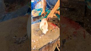 Amazing Big Mrigal Fish Cutting Skills Live In BD Fish9Market [upl. by Laaspere673]