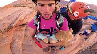 Watch Daredevil Dog Jump Off Cliff With Adrenaline Junkie Owner [upl. by Nivk]