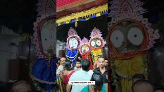 pabitra tulasi khetra  ichhapur kendrapara❤Jay Jagannath 🙏 [upl. by Omora]