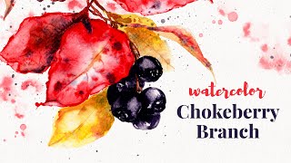 Chokeberry Branch in Fall Colors 🍁 Watercolor Tutorial StepbyStep [upl. by Elleirb]