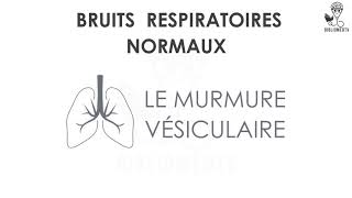 Bruits Respiratoires  Ecoutez le Murmure Vésiculaire [upl. by Dumond]