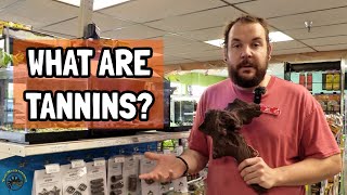 What are Tannins and How Do They Benefit Your Freshwater Fish Aquarium 🍂🐠 [upl. by Tnomyar]