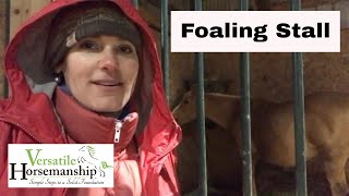 Time For A Foaling Stall  Versatile Horsemanship [upl. by Carilyn]