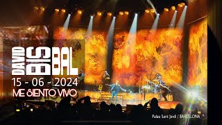 David Bisbal Concierto Barcelona  15 Junio 2024 [upl. by God]