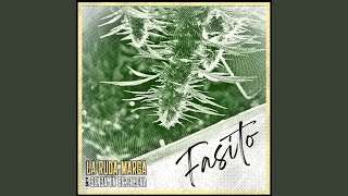 Fasito feat Benjamin Berenjena [upl. by Harleigh666]