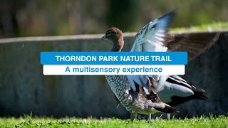 New Thorndon Park Nature Trail [upl. by Terrance60]