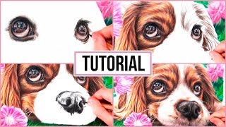 How to Draw a Dog Puppy for Kids  Cute Drawing of Animals [upl. by Auqenahc]