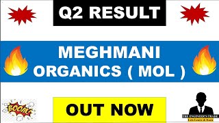 Meghmani Organics Q2 results 2025  Meghmani Organics Results  Meghmani Organics Latest News [upl. by Atnad]