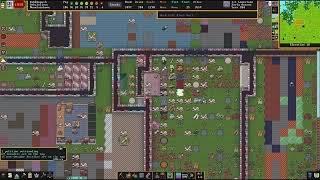 Pocket Misfires on First Use  Dwarf Fortress Steam Release  E156 [upl. by Arikihs788]