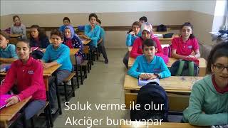 BOŞALTIM SİSTEMİ ŞARKISI 7A SINIFI [upl. by Atikehs]