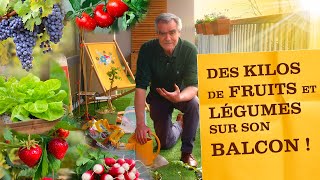 Créer un potager sur son balcon et récolter des kilos de fruits amp légumes  Quoi planter comment [upl. by Werdn]