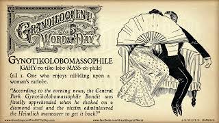 Gynotikolobomassophile  Grandiloquent Word of the Day  by Jason Travis Ott [upl. by Etz]