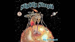 Way You Move  Slightly Stoopid Audio [upl. by Nauqad433]