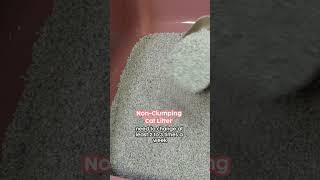 Clumping vs NonClumping Cat Litter 😸⁠😸 ⁠ ⁠ [upl. by Alegnaed]