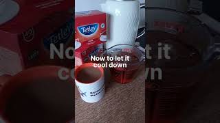 How to use Rooibos teabags in your aquarium [upl. by Irtimid]