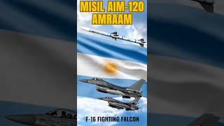 🇦🇷 Misil AIM120D Amraam para la Fuerza Aérea Argentina Los dientes de los 24 F16 Fighting Falcon [upl. by Yrrac]