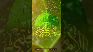 Jashn e Eid Milad Un Nabi ﷺ Coming Soon  Eid e Millat Un Nabi 2024 eidmiladunnabi aalahazrat new [upl. by Landes]