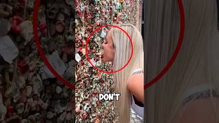 Do Not Lick This Wall 😨 shorts viral [upl. by Henig]