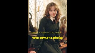 Harry Potter ve Ateş Kadehi  Bölüm 34  En İyi Sesli Kitap [upl. by Tymes]