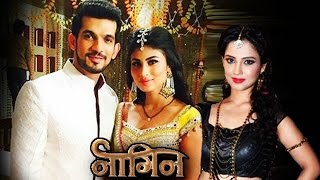 NAAGIN Last Episode STORY LEAKED  Shivanya Ritik Shesha [upl. by Alodi]