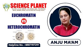 Euchromatin Vs Heterochromatin Explain by Anju Mam of Science Planet [upl. by Brinn520]