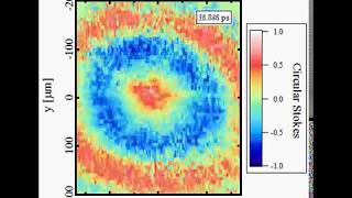 ExcitonPolariton Spin Textures [upl. by Marmion905]