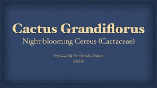 Cactus Grandiflorus  Allen’s Keynotes  Well Explained [upl. by Gannes]