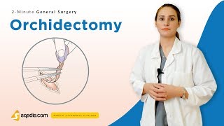 Orchidectomy  Surgery Video Lectures  Medical Student Education  VLearning [upl. by Fina]