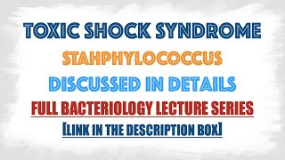 Toxic Shock Syndrome mechanism discussed in details [upl. by Annauqahs659]