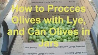 How to Process Olives with Lye and Can Olives in Jars [upl. by Pfeifer389]