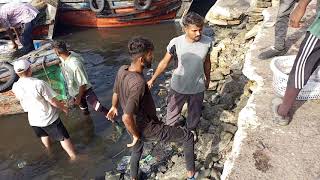 dori ki fishing boat latest update karachi fisherie [upl. by Ardnekal169]