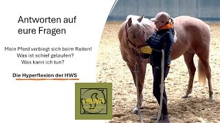 Die Westernreitstunde Hyperflexion der Halswirbelsäule Ursache und Maßnahmen [upl. by Chandless]