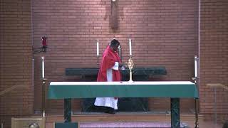 Mass Masses on this livestream event are from Holy Family Parish Catholic Churches in Oakmont [upl. by Ressler153]