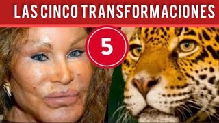 Las 5 Transformaciones Más Sorprendentes de Jocelyn Wildenstein [upl. by Bigg]