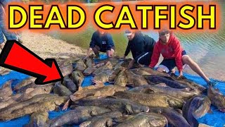 5000LBS Of DEAD Trophy CATFISH Unbelievable [upl. by Rehoptsirhc]