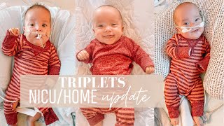 TRIPLETS NICUHOME UPDATE  mental health talk [upl. by Vierno]