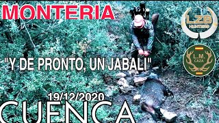 DISPARO DE INFARTO JABALI A LA TENAZON CON LMCAZALZBHUNTERS MONTERIAS HUNTINGVIDEOS [upl. by Ecinereb]