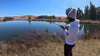 Lots of Rainbow Trout at Kinloch Dullstroom😍🎣 [upl. by Hirsh]