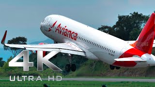 Despegue de Avión 🛫  AirBUS A320 AVIANCA HK5424🇨🇴  Aeropuerto Internacional Palonegro  4K🎥60FPS [upl. by Aivitnahs]