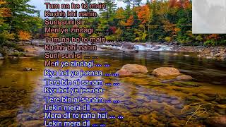 Lekin mera dil mera dil ro raha hai Nazia hasan album of eighties karaoke [upl. by Beyer]