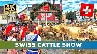 Swiss Custom 🇨🇭Cattle Show Urnäsch Part 1🐮 the cows come to the show  yodeling at the square 🫶 [upl. by Crescen]