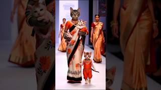 Cats Family Fashion Show 😻💫💃 cat baby shorts trending [upl. by Martina]